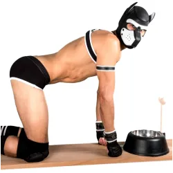 Generique Genouillères Bad Puppy en tissu